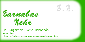 barnabas nehr business card