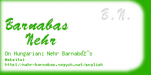 barnabas nehr business card